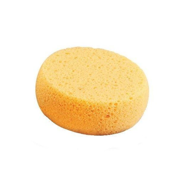 Hydra Sponge 3 1/4 Inch – Evans Ceramic Supply